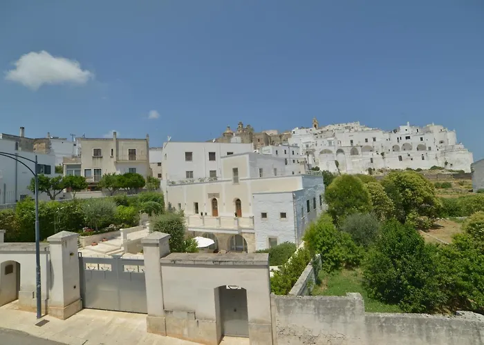 La Terrazza Di Don Peppino 公寓 奥斯图尼